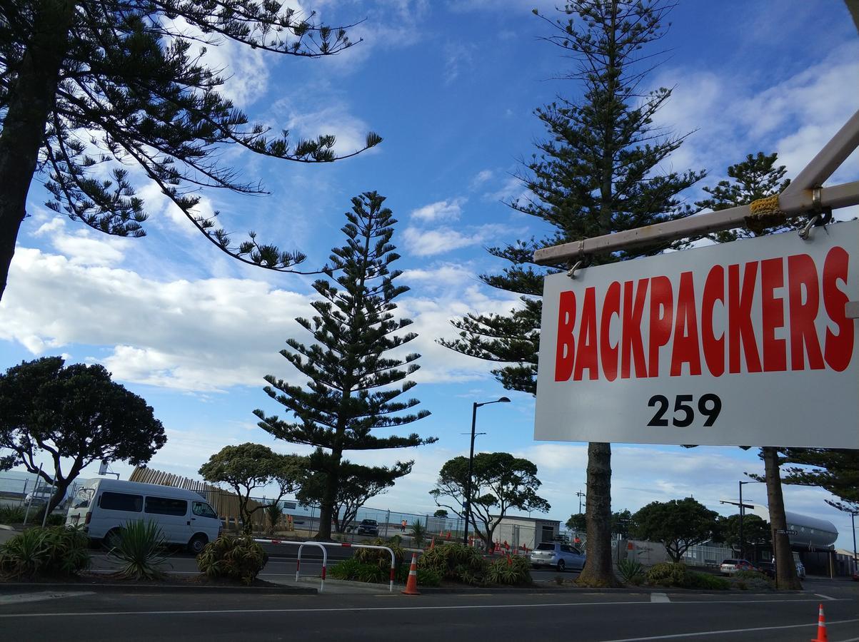 Napier Art House Backpackers Hostel Exterior photo